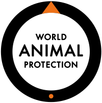Compassionate Donation 🐕‍🦺🐈‍⬛